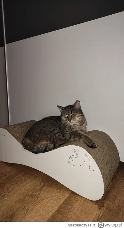 niezobaczysz - Znajda poleca drapak XXL
#pokazkota #kotnadzis #koty