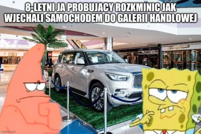 Pierre_Nietzsche - #kiciochpyta #heheszki