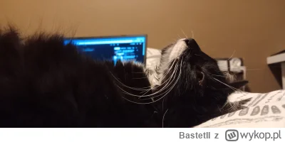 BastetII - #pokazkota #koty 
Ciekawe o czym tak rozmyśla...