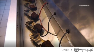 Ukiss - W Wodociągach Warszawskich pracuje osiem małży testujących jakość wody w Wiśl...