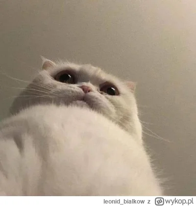 leonid_bialkow - @wfyokyga: cze dla cb
