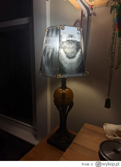 frow - #gabinetosobliwosci