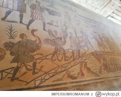 IMPERIUMROMANUM - Strusie według Pliniusza Starszego

Pliniusz Starszy opisał w swoje...