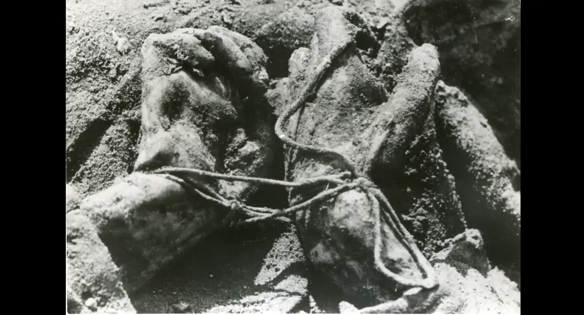 Grzesiok - Pamiętajmy po czyjej stronie stoją onucoki 

SPOILER