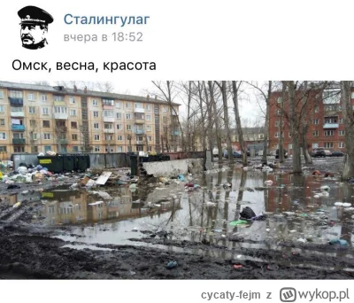 cycaty-fejm - @skrecu: Bez przesady, pozdrowienia z Omska, wstali z kolan, Putin trzy...