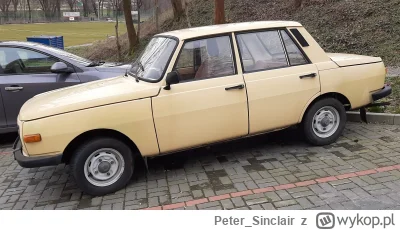 Peter_Sinclair - Dzisiejsza dawka gratów i wrostów @lonelyjunkcars

To już koniec ser...
