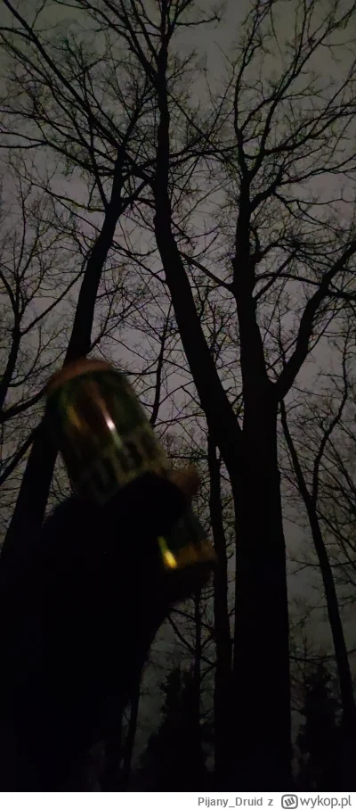 Pijany_Druid - Wieczór, las i piwo (ʘ‿ʘ)
#przegryw