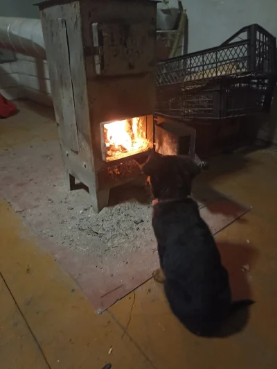 jmuhha - Siedzimy se ʕ•ᴥ•ʔ