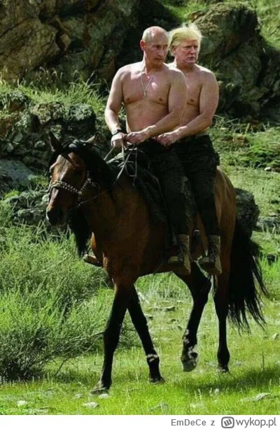 EmDeCe - >e żądania wykraczają daleko poza Ukrainę i dotyczą przebudowy struktury bez...