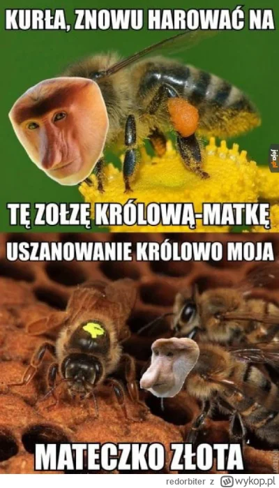 redorbiter - @marko2: