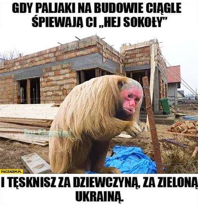 WstretnyOwsik - #ukraina #heheszki #humorobrazkowy