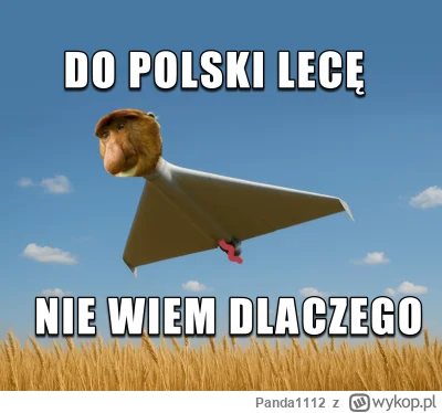 Panda1112 - #konkursnanajbardziejgownianymemznosaczem