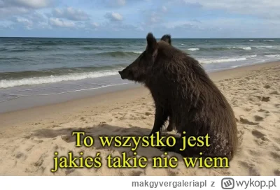 makgyvergaleriapl - Tak...