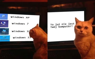 Phallusimpudicus - #technologia