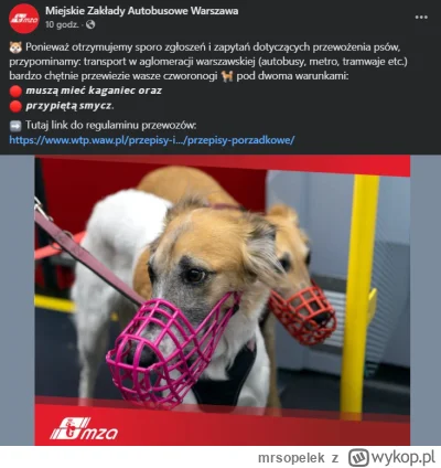 mrsopelek - Pierwszy raz Warszawa zaskoczyła pozytywnie, a nie odklejką. #psiarze