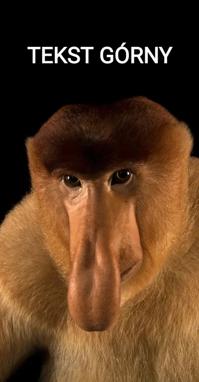 MaszBaboTalerz - #konkursnanajbardziejgownianymemznosaczem