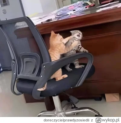 doreczycielprawdyzosiedli - @NihilistycznyFemboy