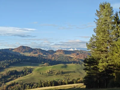 JednaRenkaJedenKaleka - Za to widać taterki
