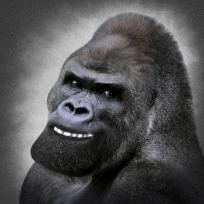 GigaPrzegryw - @lasca85 @niktnikt12 @Dwudziestydrugi @CoronaBeerus