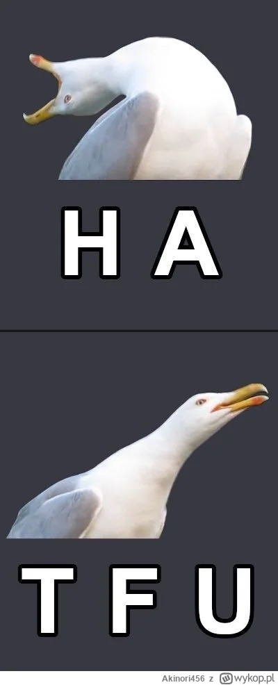 Akinori456 - @ch3ap: I dobrze im tak!!!