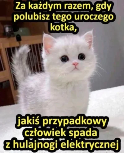 FreakingAwesome - Kotek