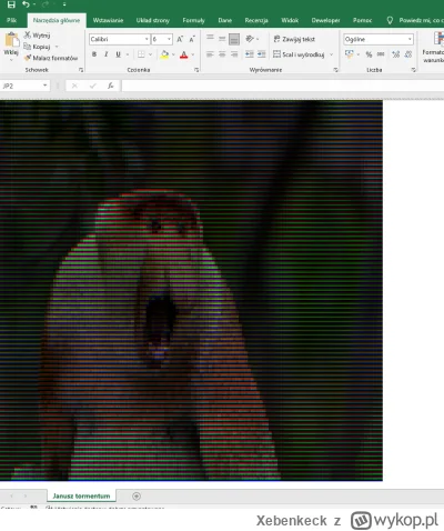 Xebenkeck - Pioter zmieniłem się w obraz typu pixel art wygenerowany w arkuszu kalkul...