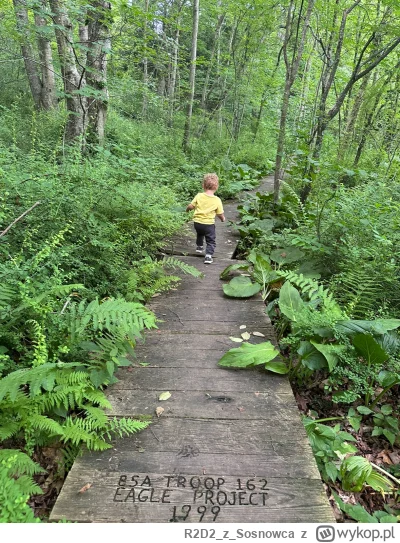 R2D2zSosnowca - Janie Pierce Park, Waterbury #connecticut +27C
#r2d2zwiedza #natura #...