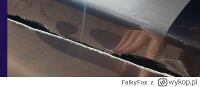 FalkyFox - @bylemtam