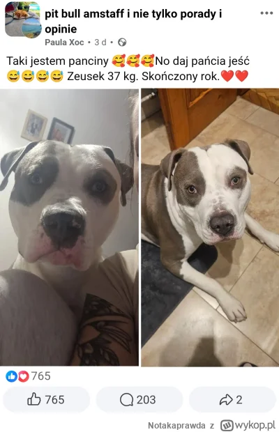 Notakaprawda - Prośba o tłumaczenie.
#psiarze #patologiazewsi #heheszki