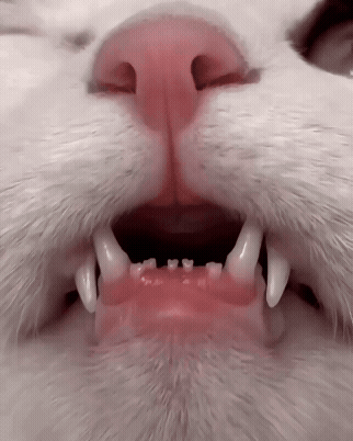 jestemtakizmeczony - @jestemtakizmeczony: