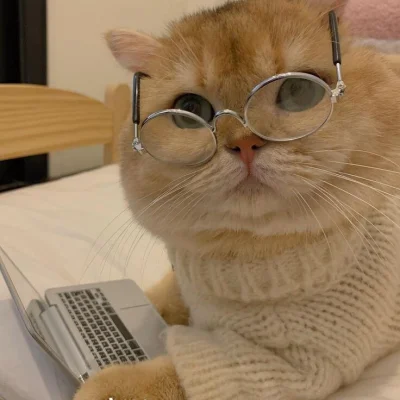 jestemtakizmeczony - @jestemtakizmeczony: