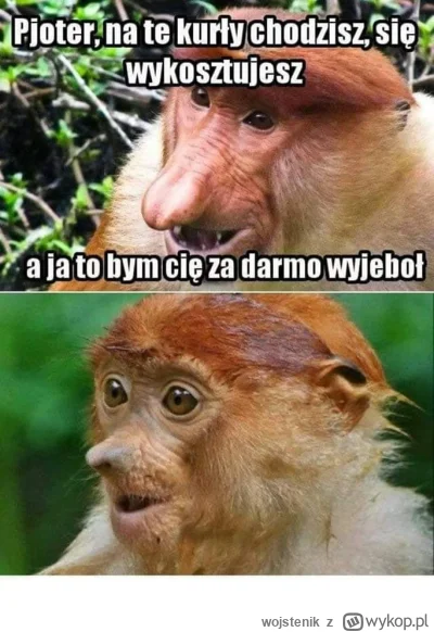 wojstenik - #konkursnanajbardziejgownianymemznosaczem