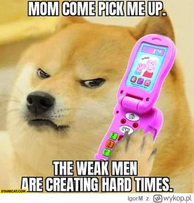 IgorM - #blackpill #memy