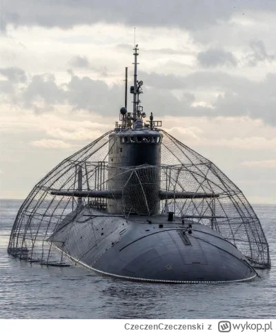 CzeczenCzeczenski - Już niedługo 

#ukraina #wojna #rosja #heheszki #humorobrazkowy