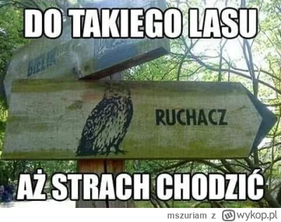 mszuriam - no nje moge
#heheszki #humorobrazkowy