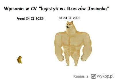 Kaajus - Ciekawe jak tam nastroje na lotnisku w Rzeszowie przed zapowiadaną "najwięks...