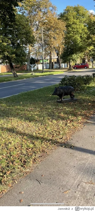 Jamniki2 - Ten kto wpadł na pomysł, żeby postawić sztucznego dzika przy drodze jest p...