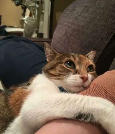 wybryk_natury - #zlodziejskiewybryki