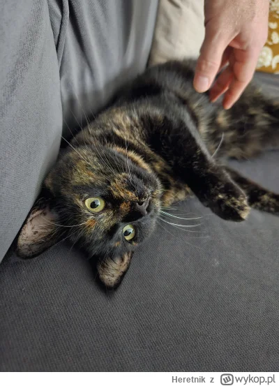 Heretnik - Miziaj mnie człowiek #pokazkota