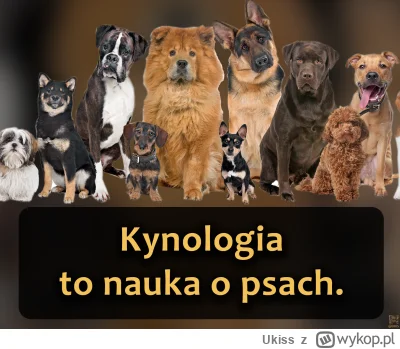 Ukiss - Nie chodzi tu tylko o hodowlę czy tresurę, ale o całość wiedzy związanej z ty...