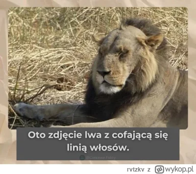 rvtzkv - #heheszki #ciekawostki