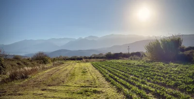 asdfghjkl - I kapusto ( ͡° ͜ʖ ͡°)