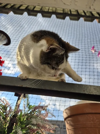 Solsith - @Kantorwymianymysliiwrazen: to akrobata, artysta jest¯\(ツ)/¯