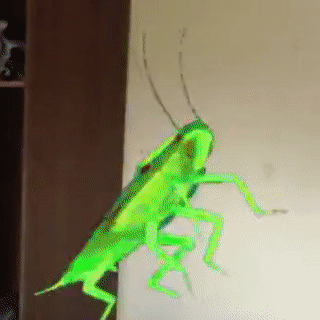 Czerwone_Stringi - #danielmagical