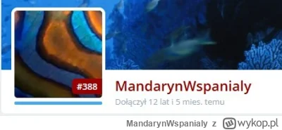 MandarynWspanialy - Mirki, a co to się stanęło? Ja, mając ostatnio na Wypoku 4 akcje ...