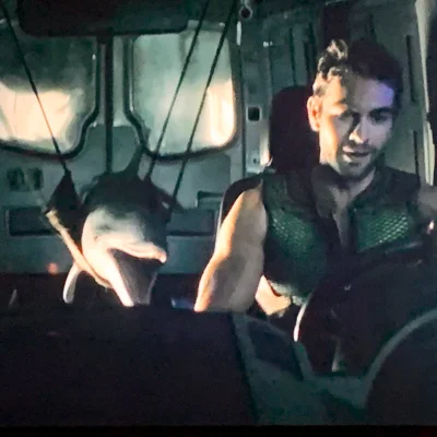 k.....e - @wybryk_natury Sądzac po delfinie sprawca wypadku oraz sam wypadek jest zna...