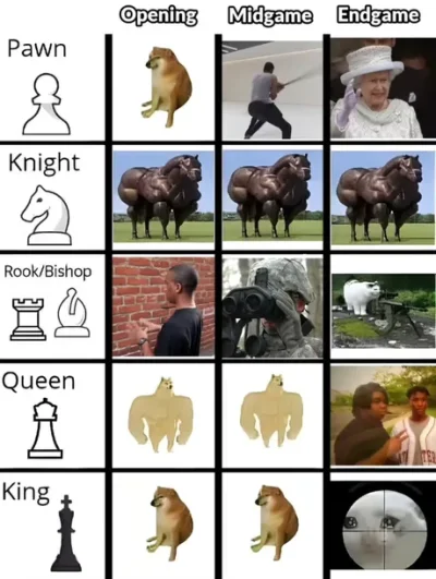 Phallusimpudicus - #szachy