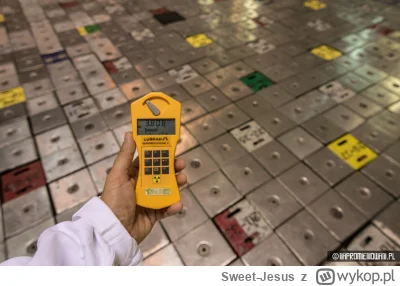 Sweet-Jesus - Promieniowanie na płycie reaktora RBMK-1500: Pomiary w Ignalińskiej Ele...