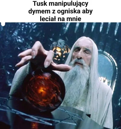 djtartini1 - #majowka #grill #heheszki #humorobrazkowy