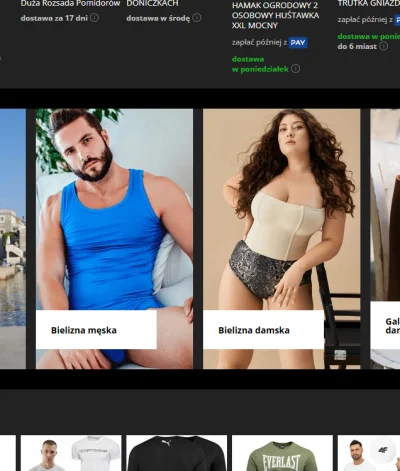 Arvin - #podwojnestandardy na głównej Allegro xD gruba baba i dobrze zbudowany chłop....